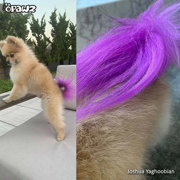 OPawz Semi-Permanent Pet Hair Dye Flash Yellow – Vibrant Long-Lasting Color Cream, 150g Tube