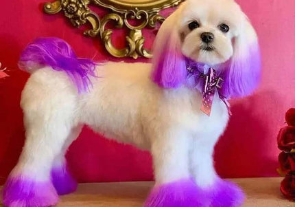 OPawz Semi-Permanent Pet Hair Dye Flash Yellow – Vibrant Long-Lasting Color Cream, 150g Tube