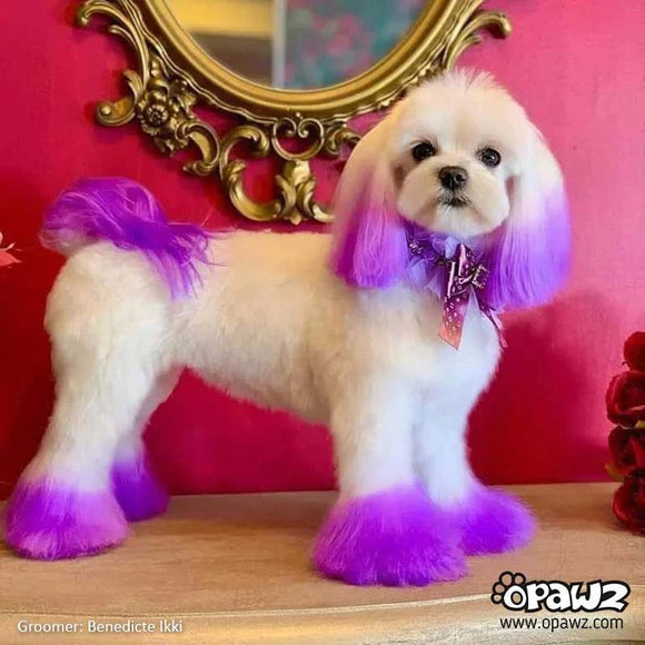 OPawz Semi-Permanent Pet Hair Dye Flash Yellow – Vibrant Long-Lasting Color Cream, 150g Tube