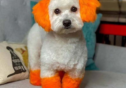 OPawz Semi-Permanent Pet Hair Dye Flash Yellow – Vibrant Long-Lasting Color Cream, 150g Tube