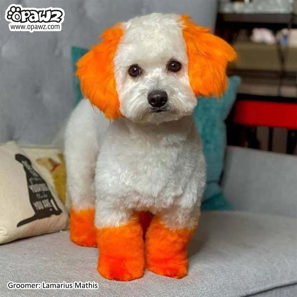 OPawz Semi-Permanent Pet Hair Dye Flash Yellow – Vibrant Long-Lasting Color Cream, 150g Tube