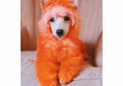 OPawz Semi-Permanent Pet Hair Dye Flash Yellow – Vibrant Long-Lasting Color Cream, 150g Tube