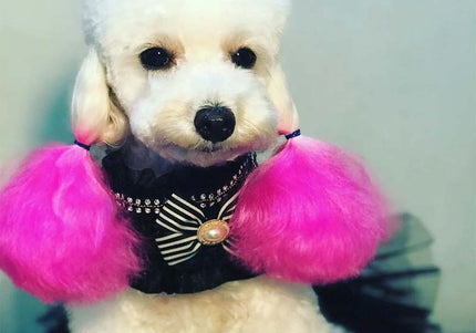 OPawz Semi-Permanent Pet Hair Dye Flash Yellow – Vibrant Long-Lasting Color Cream, 150g Tube