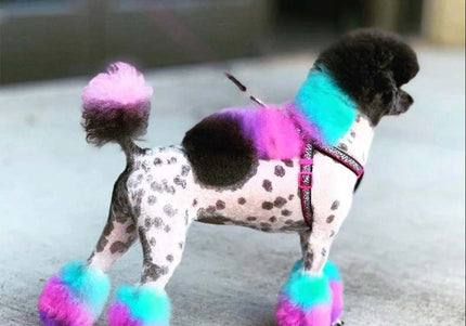 OPawz Semi-Permanent Pet Hair Dye Flash Yellow – Vibrant Long-Lasting Color Cream, 150g Tube