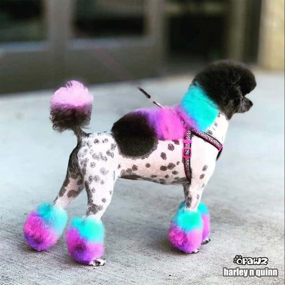 OPawz Semi-Permanent Pet Hair Dye Flash Yellow – Vibrant Long-Lasting Color Cream, 150g Tube