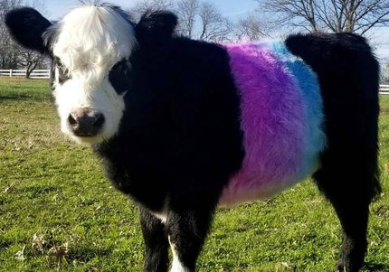 OPawz Semi-Permanent Pet Hair Dye Flash Yellow – Vibrant Long-Lasting Color Cream, 150g Tube