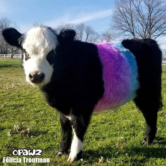 OPawz Semi-Permanent Pet Hair Dye Flash Yellow – Vibrant Long-Lasting Color Cream, 150g Tube