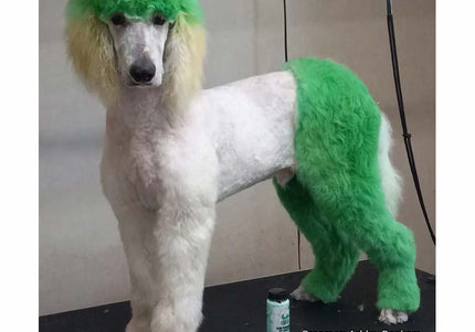 OPawz Semi-Permanent Pet Hair Dye Flash Yellow – Vibrant Long-Lasting Color Cream, 150g Tube