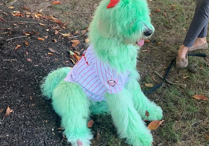 OPawz Semi-Permanent Pet Hair Dye Flash Yellow – Vibrant Long-Lasting Color Cream, 150g Tube