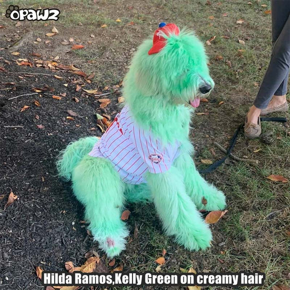 OPawz Semi-Permanent Pet Hair Dye Flash Yellow – Vibrant Long-Lasting Color Cream, 150g Tube