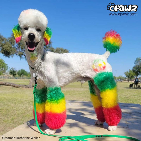 OPawz Semi-Permanent Pet Hair Dye Flash Yellow – Vibrant Long-Lasting Color Cream, 150g Tube