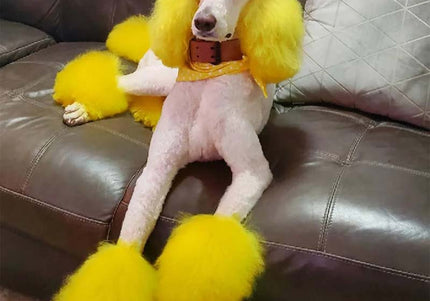 OPawz Semi-Permanent Pet Hair Dye Flash Yellow – Vibrant Long-Lasting Color Cream, 150g Tube