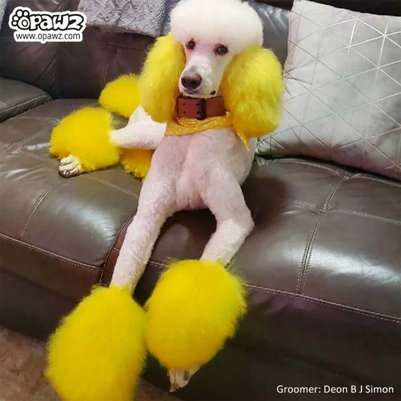 OPawz Semi-Permanent Pet Hair Dye Flash Yellow – Vibrant Long-Lasting Color Cream, 150g Tube