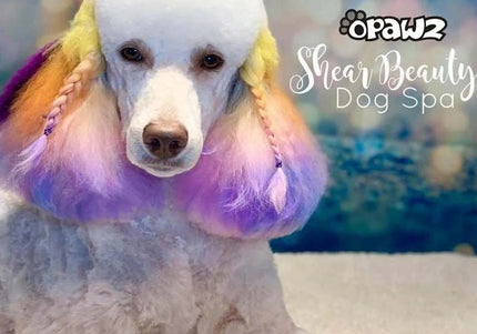 OPawz Semi-Permanent Pet Hair Dye Flash Yellow – Vibrant Long-Lasting Color Cream, 150g Tube