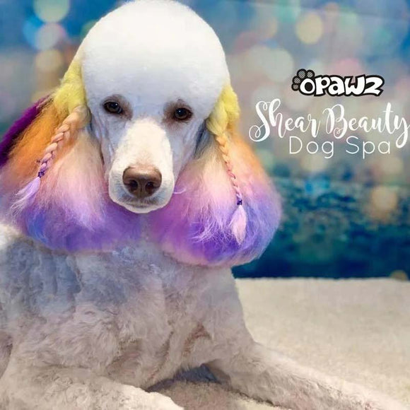 OPawz Semi-Permanent Pet Hair Dye Flash Yellow – Vibrant Long-Lasting Color Cream, 150g Tube