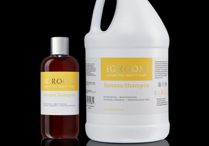 iGroom Banana Shampoo – Nourishing Moisturizing Formula with Banana Extract, 473ml Bottle