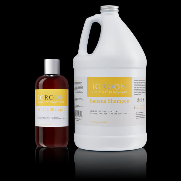 iGroom Banana Shampoo – Nourishing Moisturizing Formula with Banana Extract, 473ml Bottle