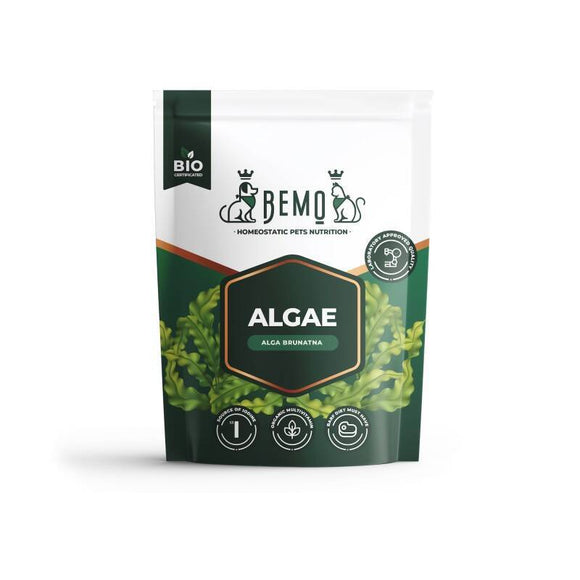 BEMO Algae Dietary Supplement – Natural Brown Algae Powder, 120g, Supports Healthy Coat