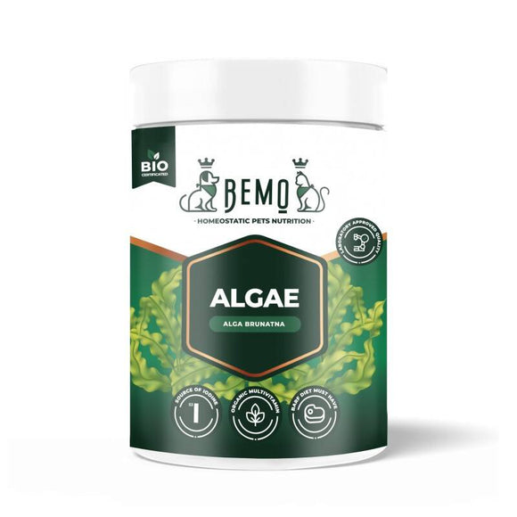 BEMO Algae Dietary Supplement – Natural Brown Algae Powder, 120g, Supports Healthy Coat