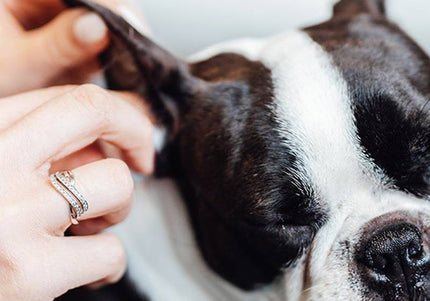 Dr. Lucy Home No. 8 Ear Care Liquid – Gentle Cleansing Solution, 100ml Bottle