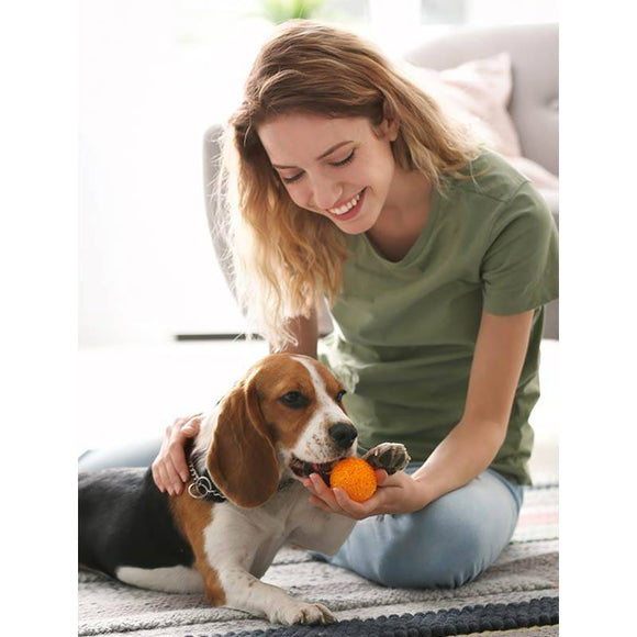 Dr. Lucy HOME No. 3 Shampoo – Gentle Formula for Short-Haired Coats, 250ml