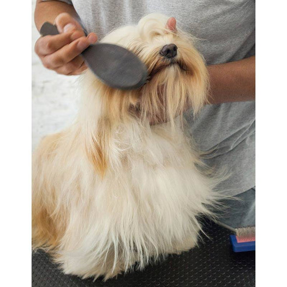 Dr. Lucy PRO Easy Brush Shampoo – 1L, Detangling Formula for Long Soft Hair, Gentle Care