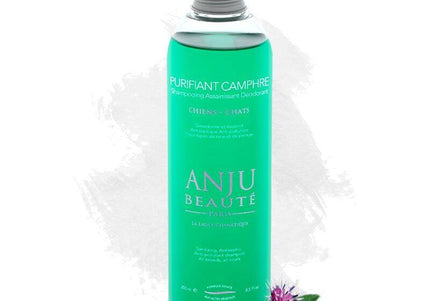 Anju Beaute Purifying Camphor Shampoo – Cleansing, Refreshing Formula with Camphor, 250ml