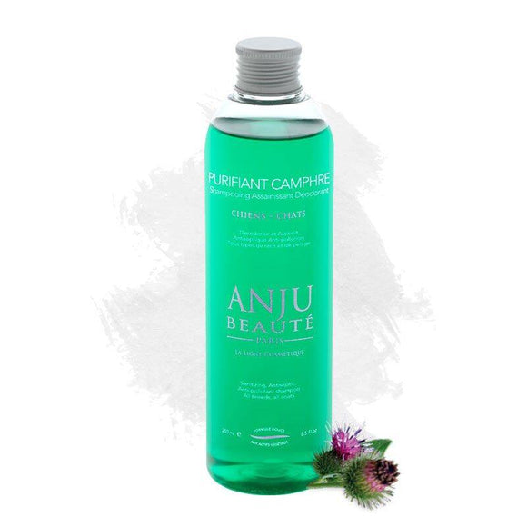 Anju Beaute Purifying Camphor Shampoo – Cleansing, Refreshing Formula with Camphor, 250ml