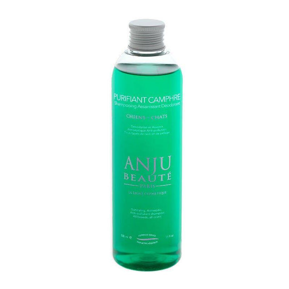 Anju Beaute Purifying Camphor Shampoo – Cleansing, Refreshing Formula with Camphor, 250ml