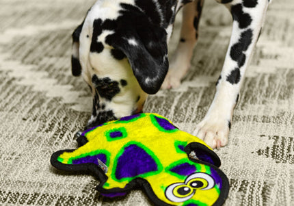 Outward Hound Durablez Gecko Squeaky Toy – Tough Unfilled Green Plush, Small Size