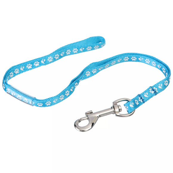 Groom Professional Arno Nylon Grooming Leash – Blue Paw Print, 1cm Wide, 45cm Long, Durable Design