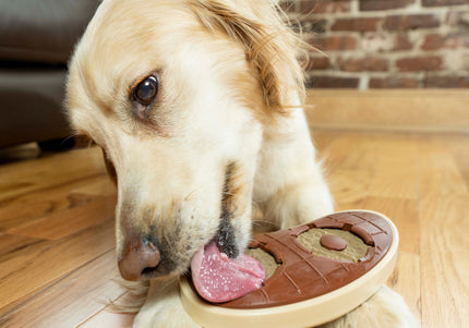 PetSafe Busy Buddy Slab o' Sirloin Dog Chew Treat – Beef Steak Flavor, Medium/Large, Long-Lasting