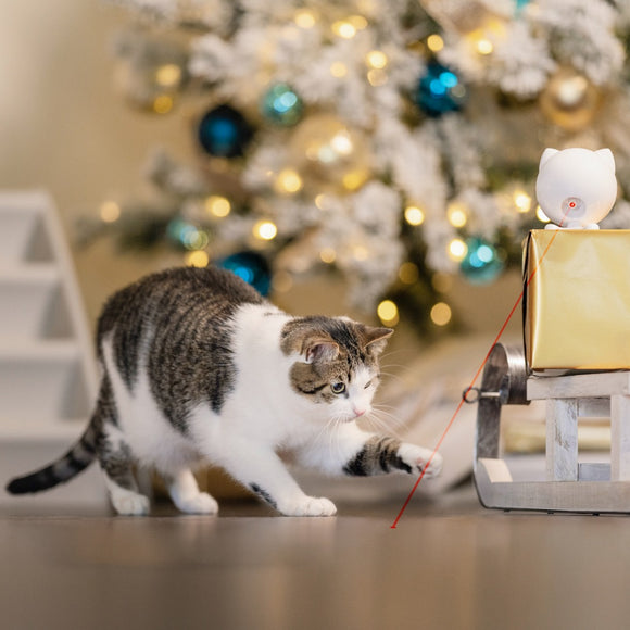 PetSafe Dancing Dot Laser Cat Toy – Interactive Automatic Laser with Adjustable Timer