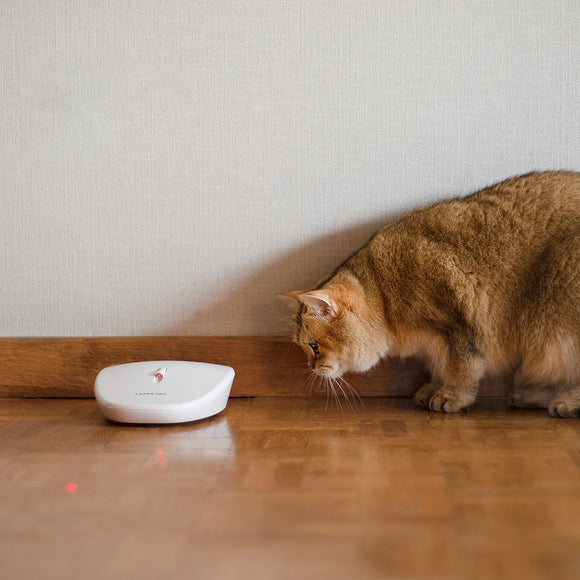 PetSafe Laser Tail Automatic Laser Light – Interactive Moving Toy with Rotating Laser Feature