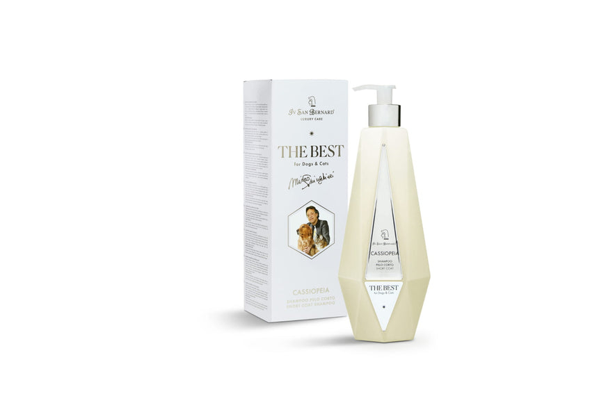 Iv San Bernard Cassiopeia Shampoo – Acacia Extract Formula, 550ml, Enhances Short Hair Shine
