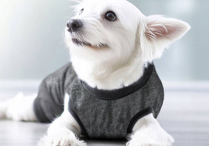 Polisept Vet Care Recovery Suit – Breathable Post-Surgery Protective Clothing, Soft Fabric Design