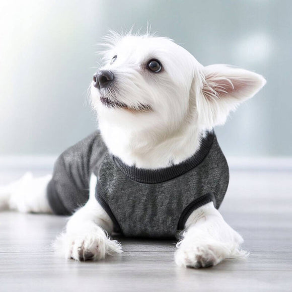 Polisept Vet Care Recovery Suit – Breathable Post-Surgery Protective Clothing, Soft Fabric Design