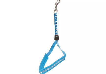 Groom Professional Amzi Nylon Grooming Leash – Lined, Blue with Paw Print, 40cm Durable Design
