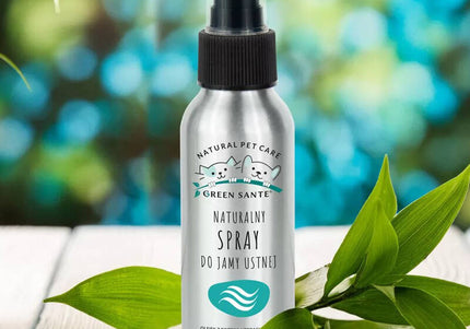 Green Sante Natural Oral Hygiene Spray 100ml – Fast-Acting Fresh Breath Formula, Alcohol-Free