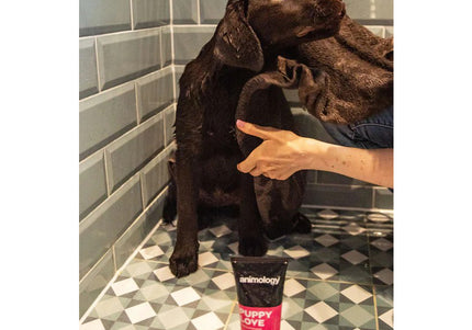 Animology Puppy Love Gentle Shampoo – Mild Cleansing Formula, 250ml Bottle