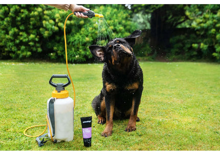 Animology Flea & Tick Protective Shampoo – Insect-Repelling Formula, 250ml Bottle