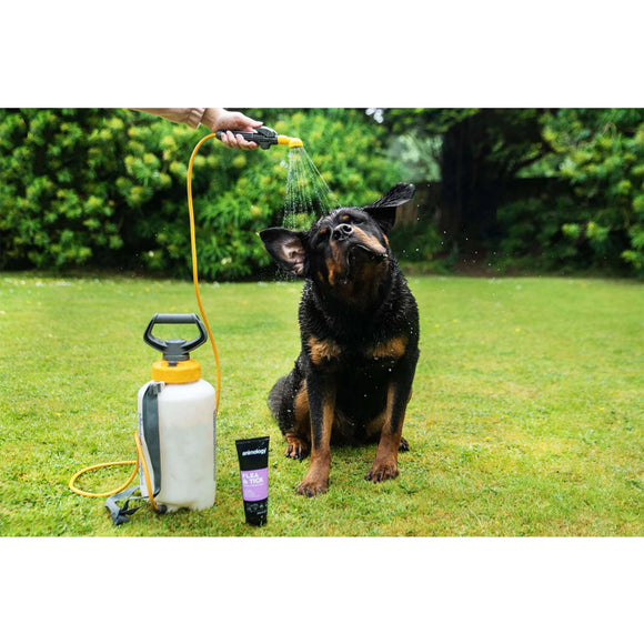 Animology Flea & Tick Protective Shampoo – Insect-Repelling Formula, 250ml Bottle