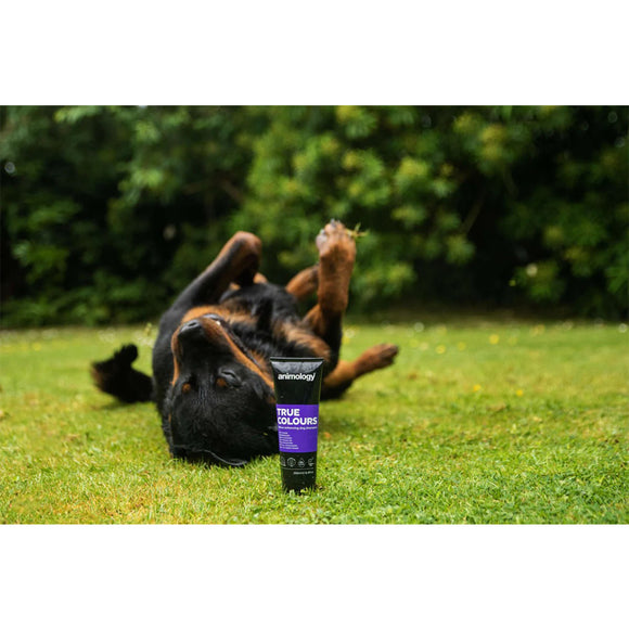 Animology True Colors Shampoo – Color-Enhancing Formula, 250ml, Boosts Natural Coat Vibrancy