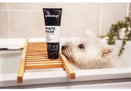 Animology White Wash Shampoo – Brightening Formula for White and Light Coats, 250ml