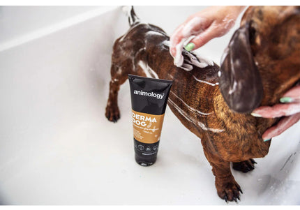 Animology Derma Dog Sensitive Shampoo – Fragrance-Free, Gentle Formula for Delicate Skin, 250ml