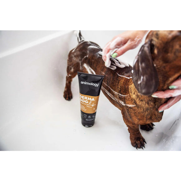 Animology Derma Dog Sensitive Shampoo – Fragrance-Free, Gentle Formula for Delicate Skin, 250ml