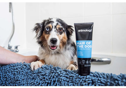 Animology Hair of the Dog Anti-Tangle Shampoo – Conditioning Formula, 250ml, Eases Combing