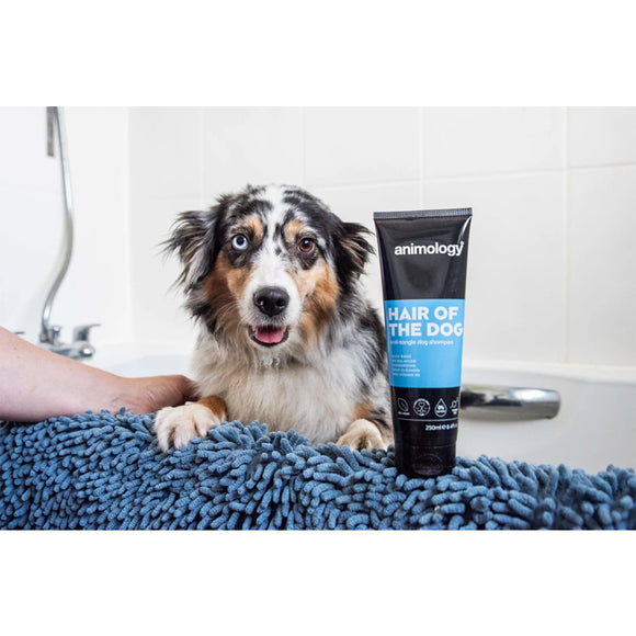 Animology Hair of the Dog Anti-Tangle Shampoo – Conditioning Formula, 250ml, Eases Combing