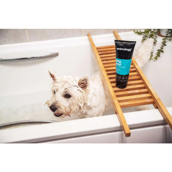Animology Spa Day Shampoo – Nourishing Formula, Revitalizes Skin and Fur, 250ml Bottle