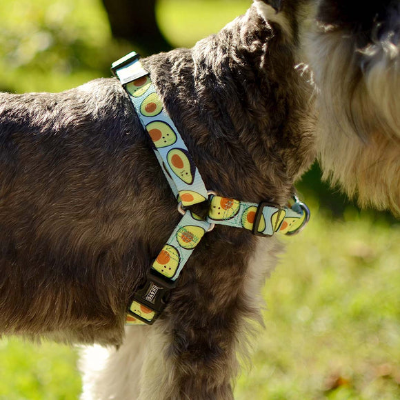 Dashi Avocado Front Harness – Norwegian No-Pull Dog Harness, Avocado Pattern, Medium Size